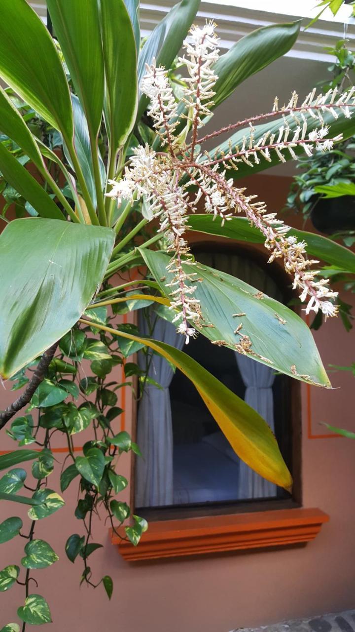 Hotel Posada San Jeronimo Coatepec  Exterior foto